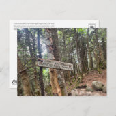White Mountains Garfield Ridge Campsite Postcard Briefkaart (Voorkant / Achterkant)