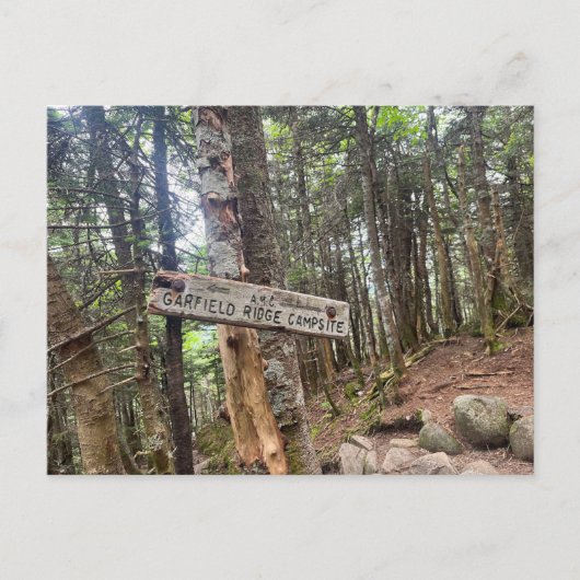 White Mountains Garfield Ridge Campsite Postcard Briefkaart (Voorkant)
