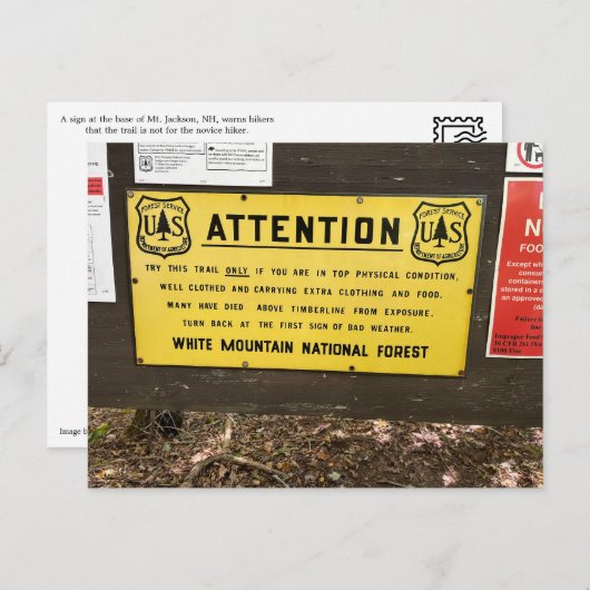 White Mountains Mt. Jackson Briefkaart (Voorkant / Achterkant)