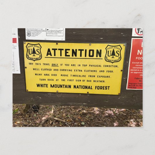 White Mountains Mt. Jackson Briefkaart (Voorkant)