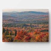 White Mountains National Forest | New Hampshire Fotoplaat (voorkant)