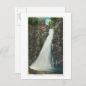 White Mountains Nat'l Forest Briefkaart (Voorkant / Achterkant)