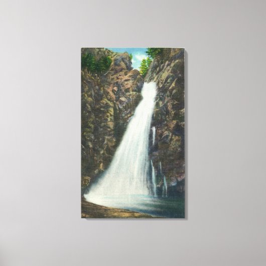 White Mountains Nat'l Forest Canvas Afdruk (Voorkant)