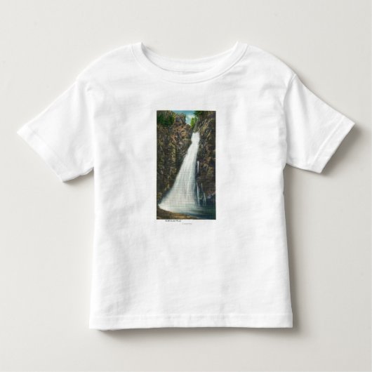 White Mountains Nat'l Forest Kinder Shirts (Voorkant)