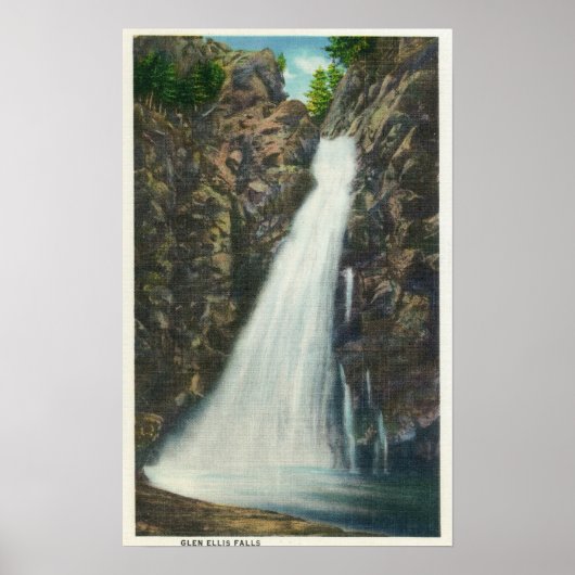White Mountains Nat'l Forest Poster (Voorkant)