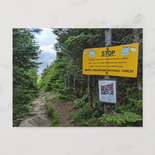 White Mountains New Hampshire Briefkaart (Voorkant)