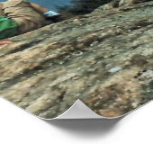 White Mountains Vista Poster (Hoek)