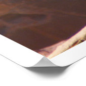 White Mule, Petra, Jordan Poster (Hoek)