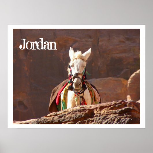 White Mule, Petra, Jordan Poster (Voorkant)
