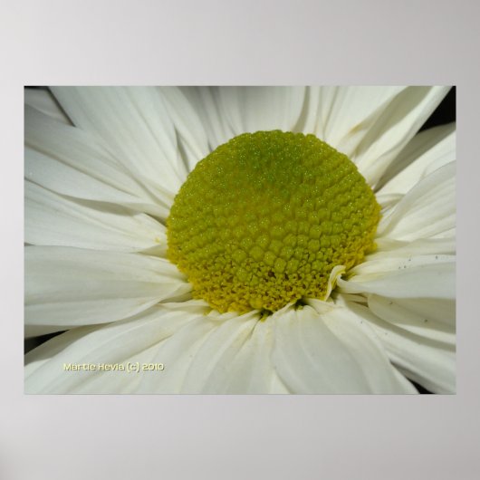 White Mum Poster (Voorkant)