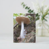 White Mushroom Briefkaart (Staand voorkant)