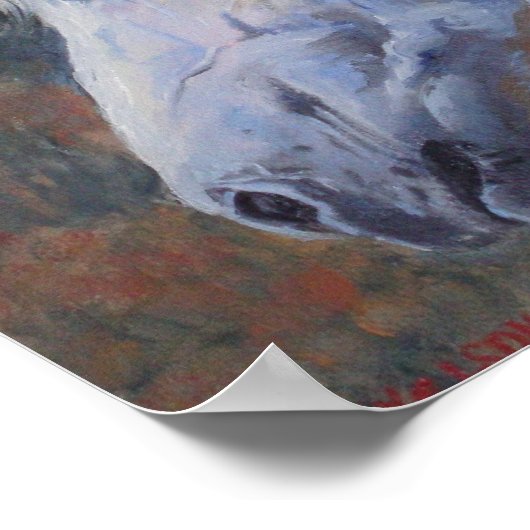 White Mustang Fine Art Print (Hoek)