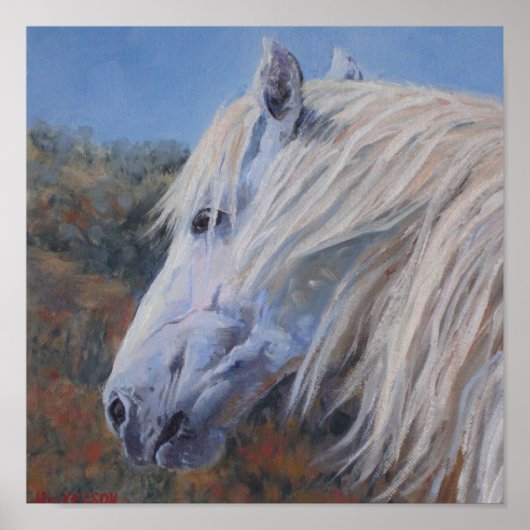 White Mustang Fine Art Print (Voorkant)