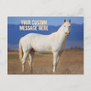 White Mustang Horse Briefkaart