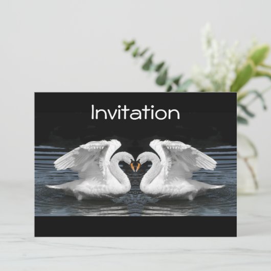 White Mute Swan Mirror Afbeelding Kaart (Staand voorkant)