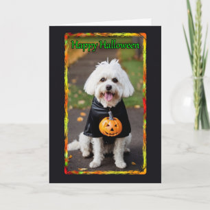 White Mutt in kostuum Halloween Kaart