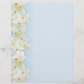 White narcissus border blank flyer (Voorkant)