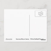 White Narcissus Flowers Briefkaart (Achterkant)