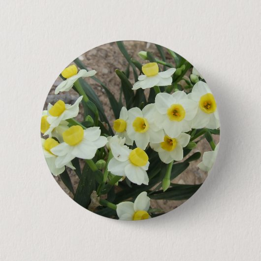 White Narcissus Flowers Button (Voorkant)