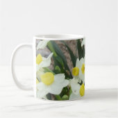 White Narcissus Flowers Mok (Links)