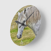 White New Forest Pony Wild Horse Ronde Klok (Hoek)