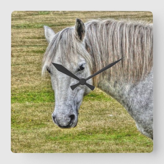 White New Forest Pony Wild Horse Vierkante Klok (Voorkant)