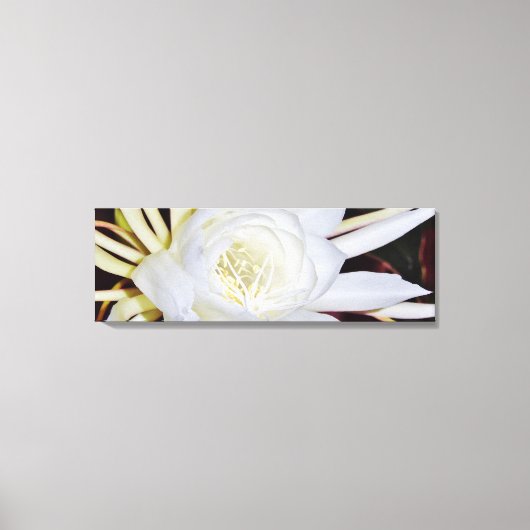 White Night Blooming Flower Canvas Afdruk (Voorkant)