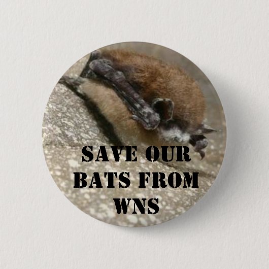 White Nose Syndrome Button (Voorkant)