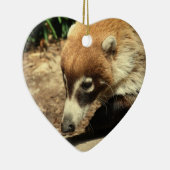 White Nosed Coati Ornament (Rechts)