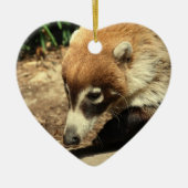 White Nosed Coati Ornament (Voorkant)