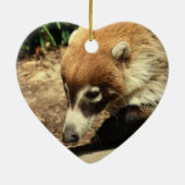White Nosed Coati Ornament (Achterkant)