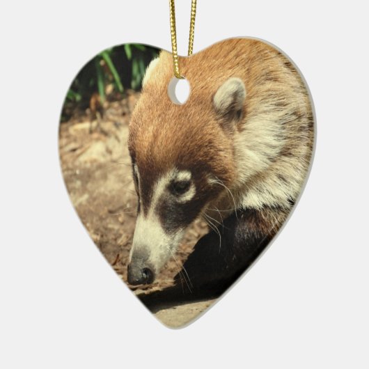 White Nosed Coati Ornament (Links)