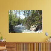 White Oak Canyon bij Shenandoah Canvas Afdruk (Insitu (Woonkamer))