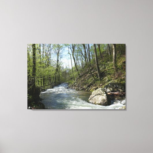 White Oak Canyon bij Shenandoah Canvas Afdruk (Voorkant)
