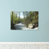 White Oak Canyon bij Shenandoah Canvas Afdruk (Insitu (Houten vloer))