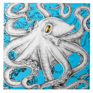 White Octopus  Map Blue Tegeltje