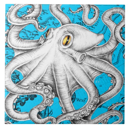 White Octopus  Map Blue Tegeltje (Voorkant)