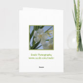 White Oleander Flower Kaart (Achterkant)