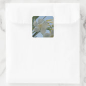 White Oleander Stickers (Tas)