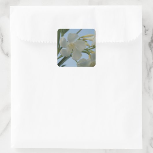 White Oleander Stickers (Tas)