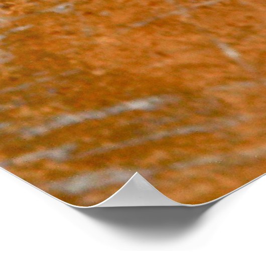 White op Gold Paintball Poster (Hoek)