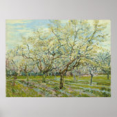 White Orchard van Vincent Van Gogh Poster (Voorkant)