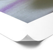 White Orchid 8 Phalaenopsis Poster Art Print (Hoek)