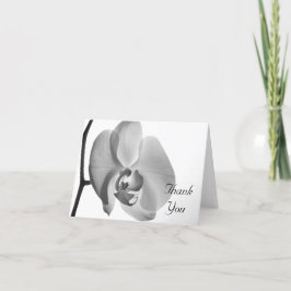 White Orchid Bedankt