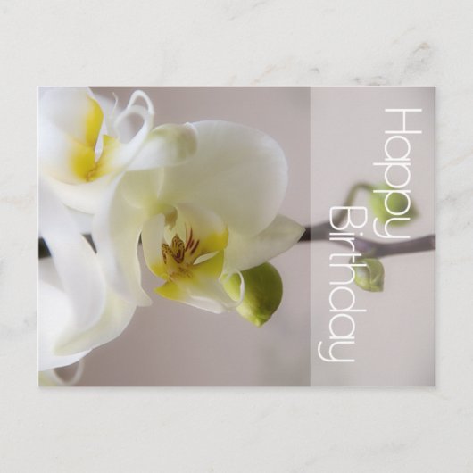 White Orchid Birthday Briefkaart (Voorkant)
