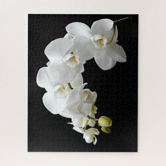 White Orchid Blossom Legpuzzel (Verticaal)