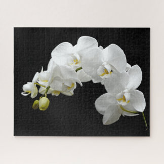 White Orchid Blossom Legpuzzel