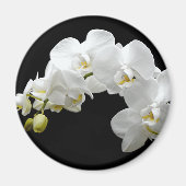 White Orchid Blossom Magneet (Voorkant)