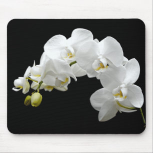 White Orchid Blossom Muismat
