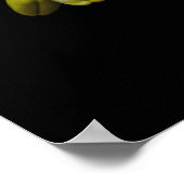 White Orchid Blossom Poster (Hoek)